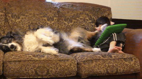 madmoizelledotcom giphyupload GIF