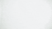 Football Sport GIF by New England Patriots