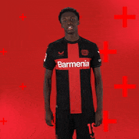 I Love You Football GIF by Bayer 04 Leverkusen