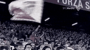 la liga soccer GIF by Sevilla Fútbol Club