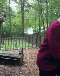 Dungeons And Dragons Dance GIF