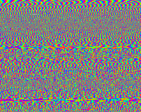 loop 12 colors GIF by Kim Asendorf