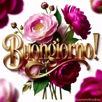 Italian Gentilezza GIF by TresorsDuMonde.ca