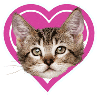 Kitten Food Sticker by Hill's Pet Nutrition EMEA