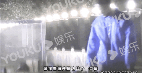 wikitree giphyupload GIF