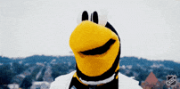 Happy Pittsburgh Penguins GIF by NHL