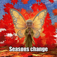 Winter Autumn GIF by BuddhaFlyJourney