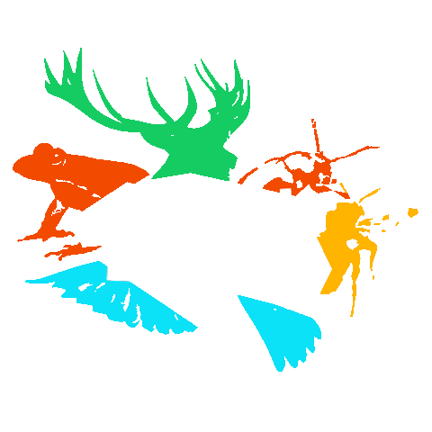 ArtFund giphyupload nature twe art fund Sticker