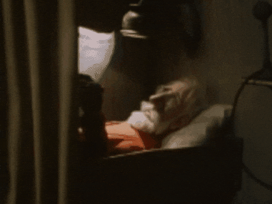 BertilEnstoring giphygifmaker giphycreatortest sova skrotnisse GIF