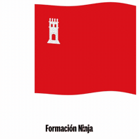 Flag Spain GIF by Formación Ninja