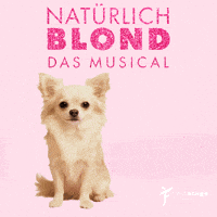 First Stage GIF by Stage School Hamburg