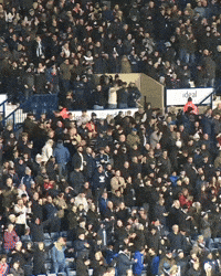 West Brom Fans GIF by West Bromwich Albion