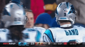 Carolina Panthers Football GIF by NFL