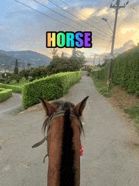 Highbeatsrecords_  GIF