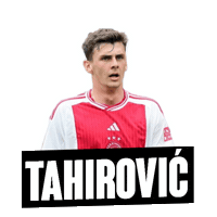 Tahirovic Sticker by Reprezentacija Ba