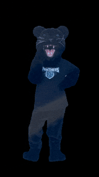 Academica GIF by Somerset Panthers