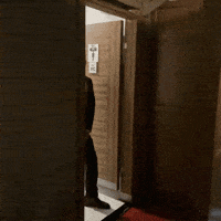 Wc Dugun GIF