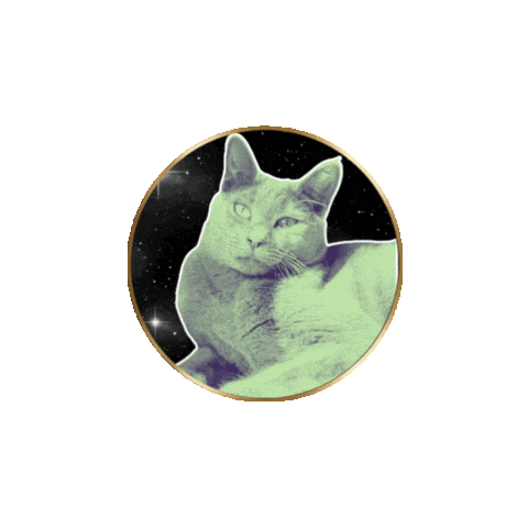 Cats Yawn Sticker