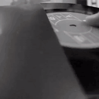 GIF by Brittlestar