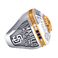 Championship Ring Amarillo Sticker by Sod Poodles