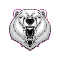 Beer Cinema Sticker by Bear Eats Tiger