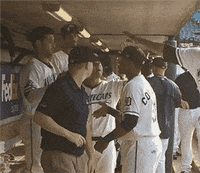 detroit tigers fun GIF by West Michigan Whitecaps 