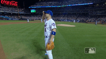 crowd david GIF by MLB
