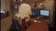 BostonCollegeAthletics football college ncaa mascots GIF