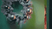 Sad Christmas Vacation GIF by Norah Jones
