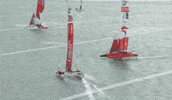 Racing GIF by SailGP