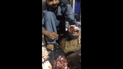 gokcecici giphyupload indian street food GIF