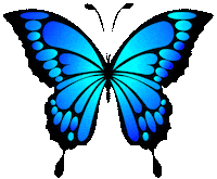 Natureza Sticker