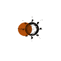 nicolemarega cool star sun morning Sticker