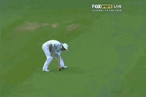 cricket destroys GIF