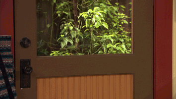 nrdd GIF by Nickelodeon