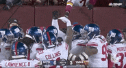 New York Giants Football GIF by NFL