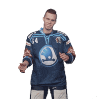 Hockey Applause Sticker by HC Škoda Plzeň