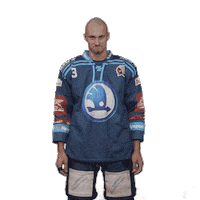 Hockey Applause Sticker by HC Škoda Plzeň