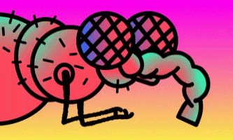 jozedaniel llamarada GIF
