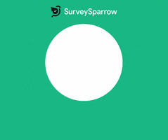 Setting Goals GIF by SurveySparrow
