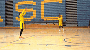 Los Angeles Sparks Wnba GIF by The Official Page of the Los Angeles Sparks