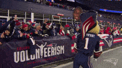 Happy Football GIF by New England Patriots