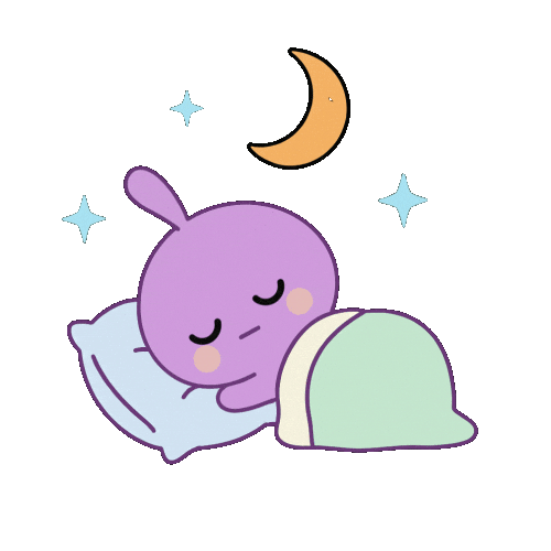 Good Night Sleeping Sticker