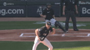 Celebrate White Sox GIF by MLB