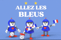 France Football GIF by Royalriver