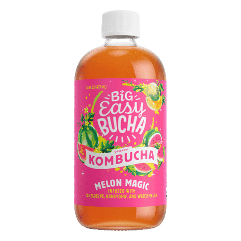 nola kombucha Sticker by Big Easy Bucha