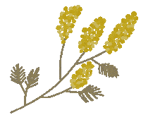 Flower 花 Sticker