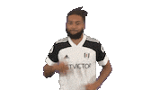 Goal Celebrations Sticker by Fulham FC