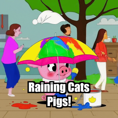Pigassocharacter GIF by The Pigasso