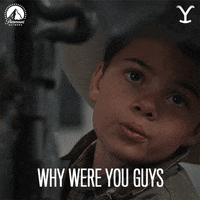 Paramount Network GIF by Yellowstone